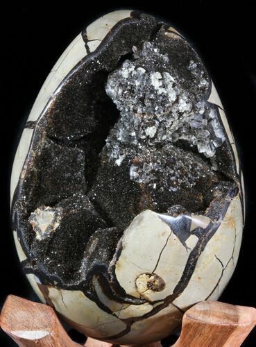 Septarian Dragon Egg Geode - Black Crystals #48001